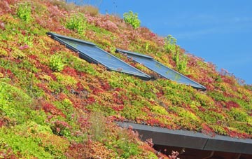 Filton living roof systems